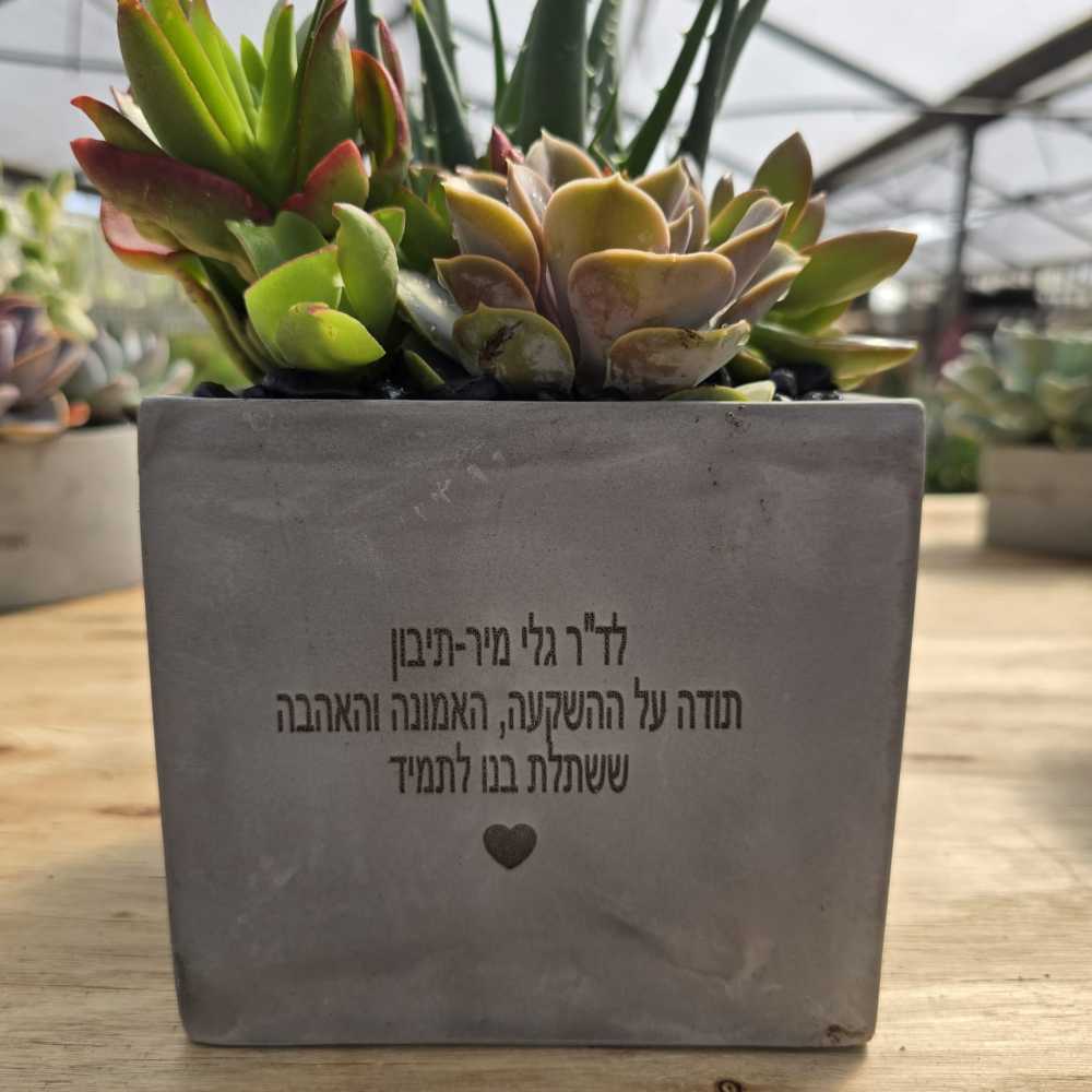 תמונת מוצר 20