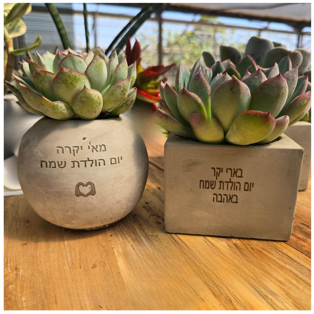 תמונת מוצר 8
