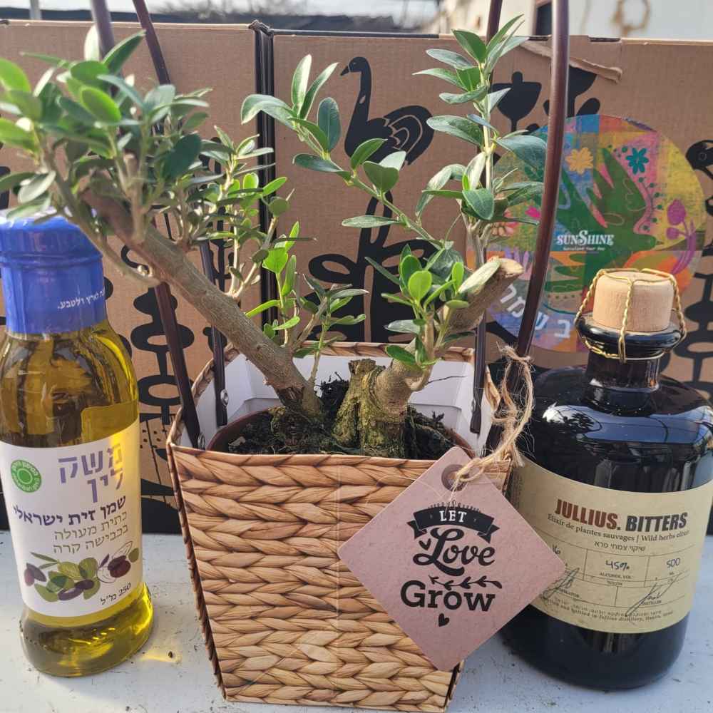 תמונת מוצר 11