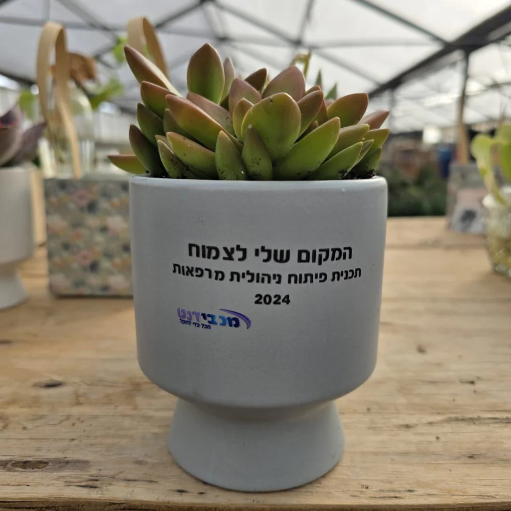 תמונת מוצר 3