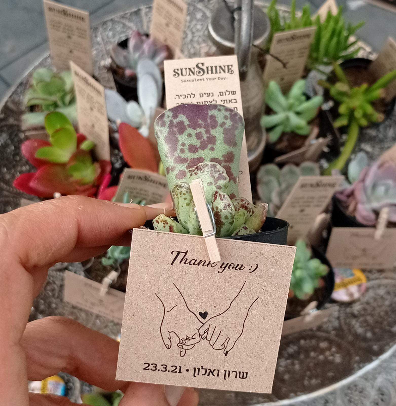 תמונת מוצר 8