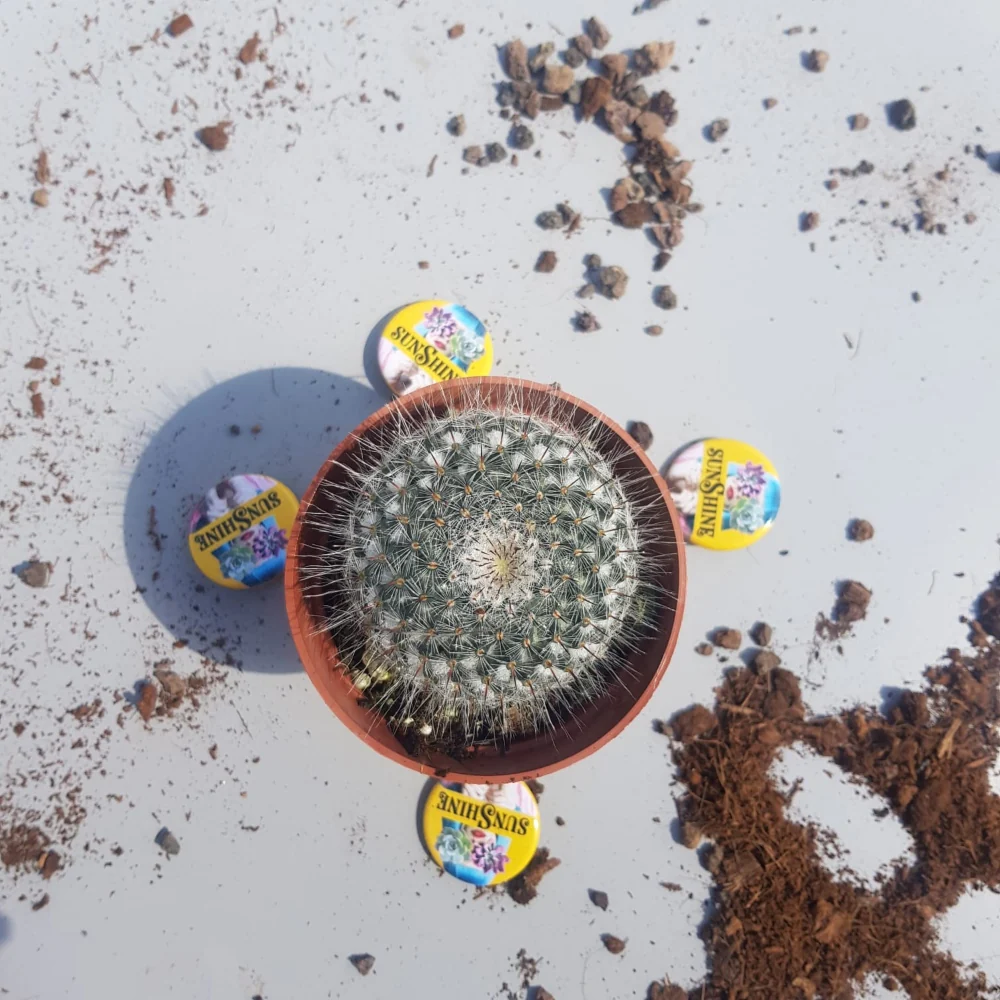תמונת מוצר 3