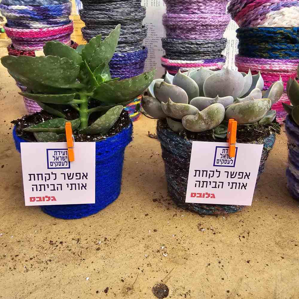 תמונת מוצר 3