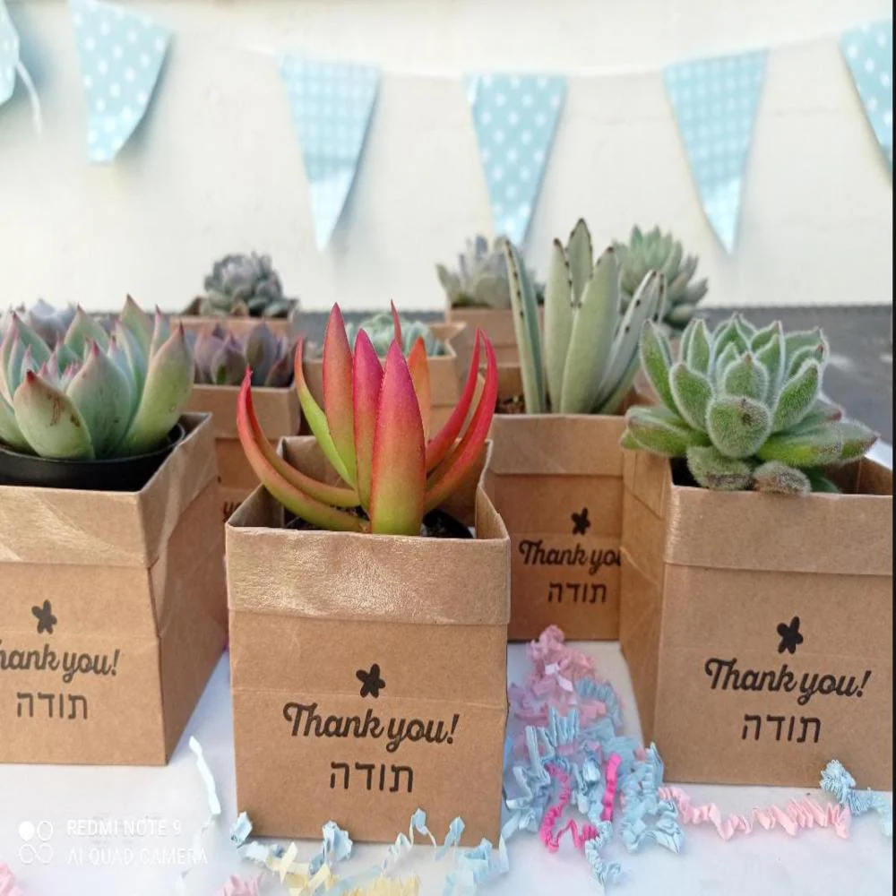 תמונת מוצר 4